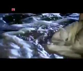 bilge ağlasam  (Ali Kemal)