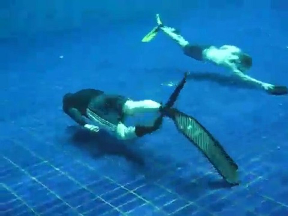 Technique with Mustangs