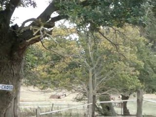 CCE Amailloux - 03-10-10