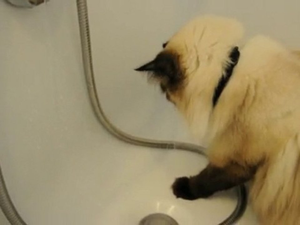 I(n)di'eau