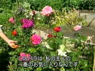 Take A Walk - Lausanne, SUISSE 1/3