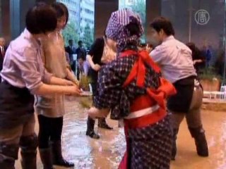 Вместо компьютера - резиновые сапоги и поле риса