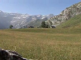 La Légende de Pyrène par Isabelle Salas