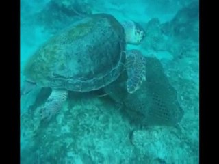 Bursa Oasis Dalış ve Doğa Sporları Merkezi