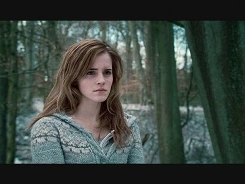 Harry Potter 7 dans ta ville _ soutiens Rennes