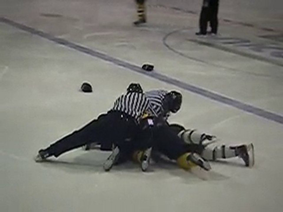 Brouillette vs Bernier