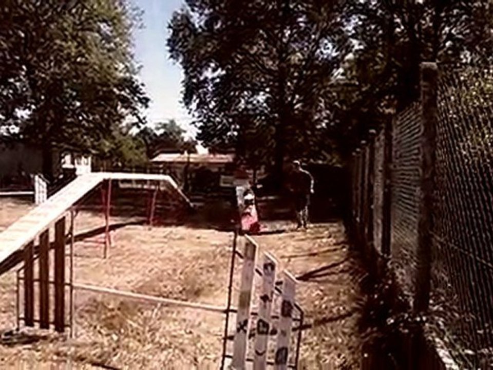 agility canis club pessacais illacais