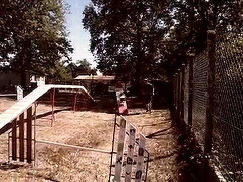 agility canis club pessacais illacais