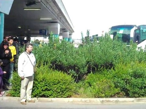 Filathloi aek se afiksi Jimeneth