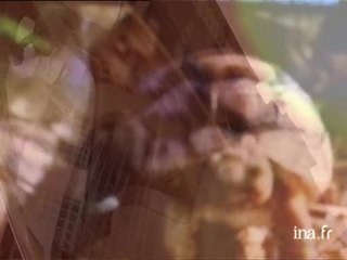 Katherine Pancol : La valse lente des tortues