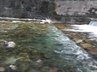 ponte  sur torrente Astico ; ponte rinnovato et sbaliato