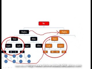 LGN plan de compensacion