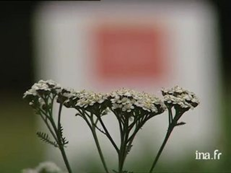 [Lucien Suel : Mort d'un jardinier]