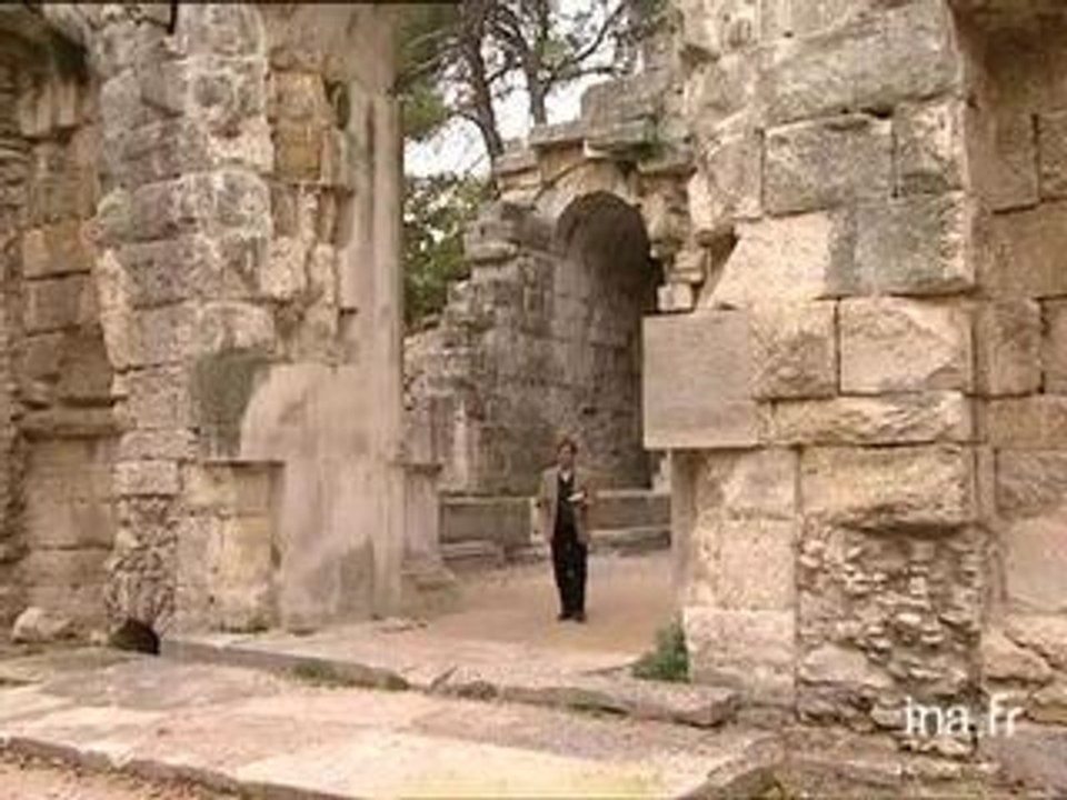 Pierre VIDAL-NAQUET : le monde d'HOMERE