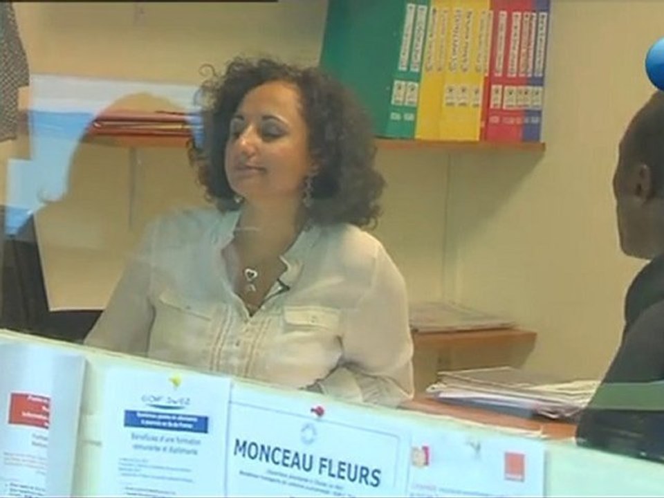 Chargé d'insertion professionnelle