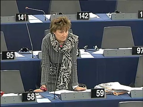 Anneli Jäätteenmäki on European Council meeting & G20 summit