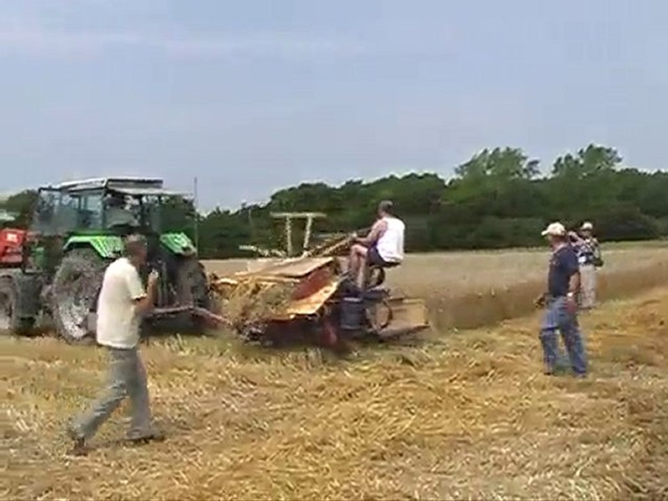 Fête Battages Hénansal 2006 - Th. Louis - La couperie de blé