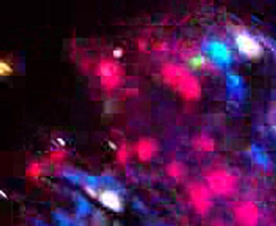 Dog Reys - Hadi ses ver ( live @ Le REXY CLUB / PARIS)