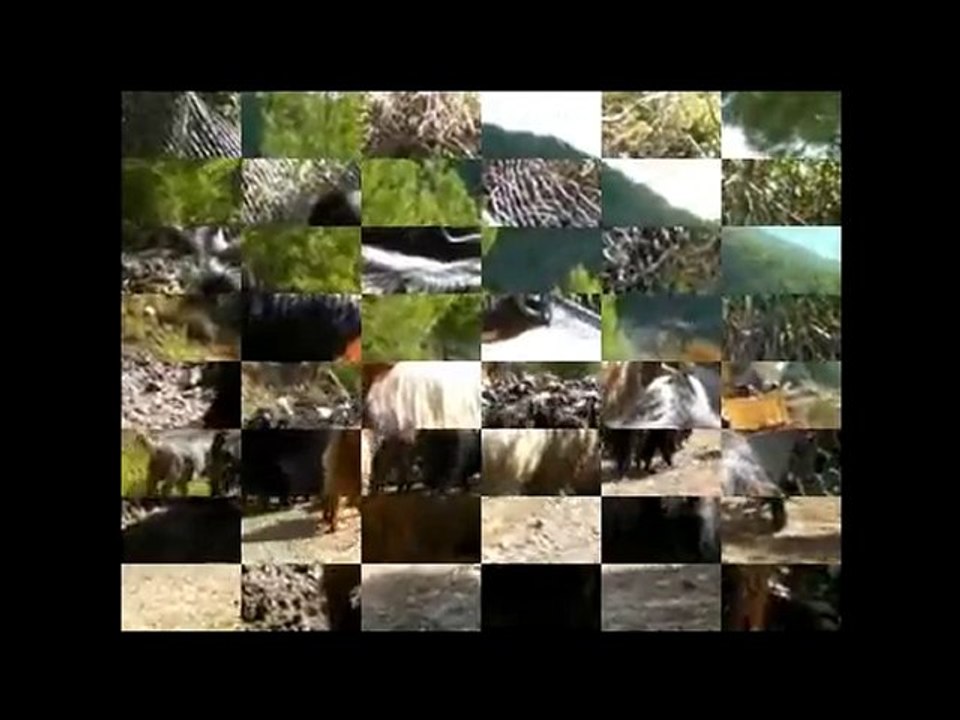 Anamur Çataloluk Köyü: Kurban bayramı yaklaşıyor