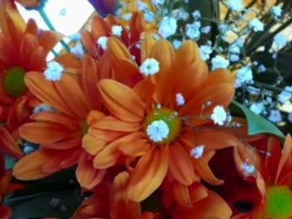 Mehmet YILMAZ Nemrudun Kızı