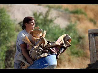 Türkiye Gençlik Birliği