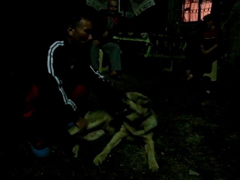 Hamidiye Köyü Duman