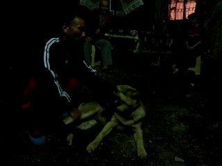 Hamidiye Köyü Duman