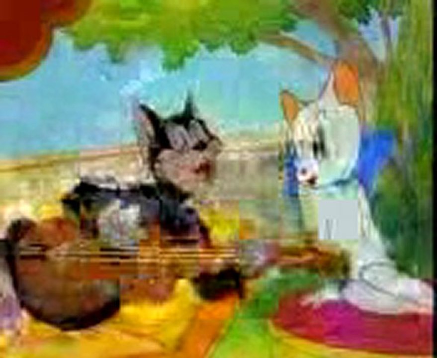 Aşık kedi