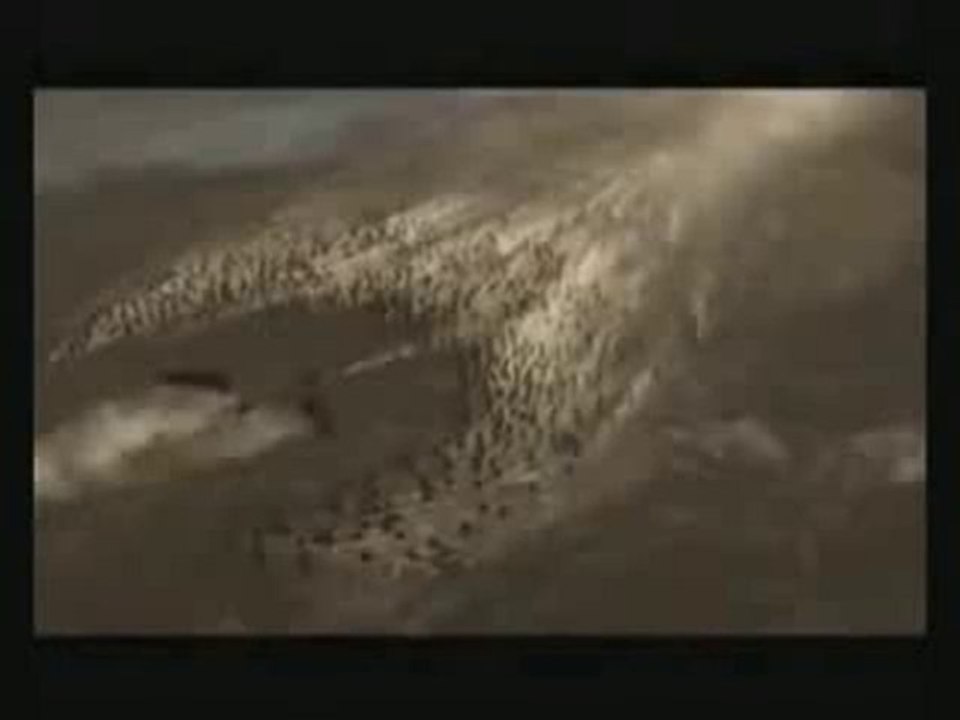 Hilal taktiği - Kudüs Fatihi Selahaddin Eyyubi