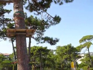 Corse le petit train