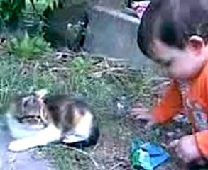 Melih Utku Kedi Operasyonu