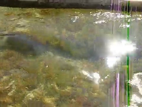 Madagascar océan indien vacance à Fullpoint