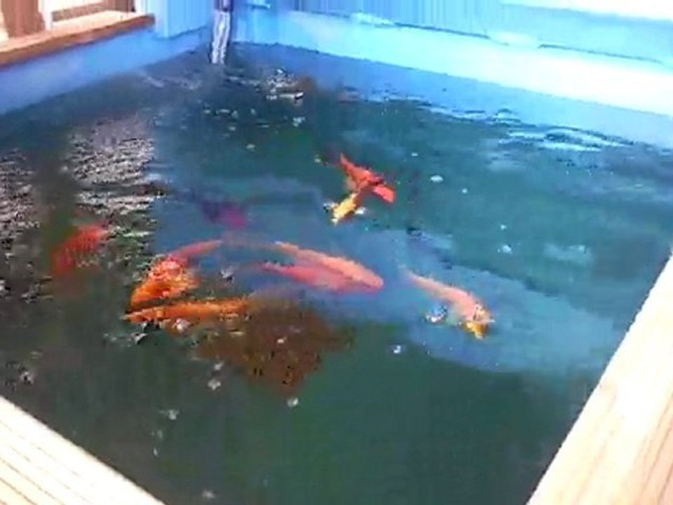 Vidéo0012