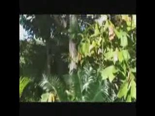 _ Solutions locales pour un désordre global_2/7