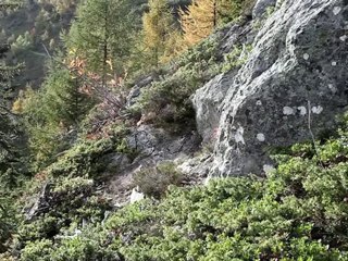 URANIUM SWITZERLAND FINHAUT WALLIS DUAY