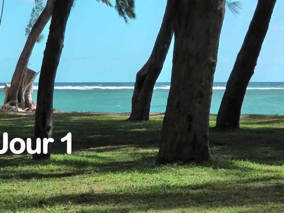 Tourisme : tous sur l'Île de la Réunion