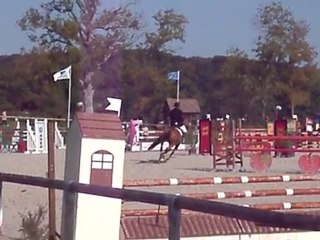 Marco & Livingstone (Haras du Pin)