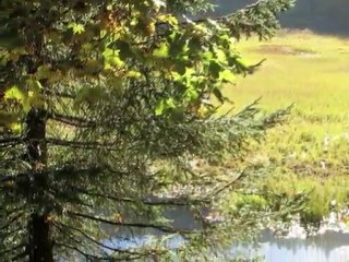 Couleurs d'Automne Jeudi 7/10/10