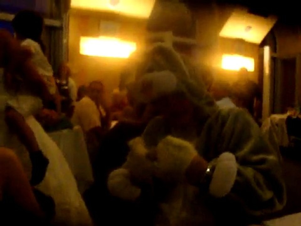 Vivian, le lapin crétin