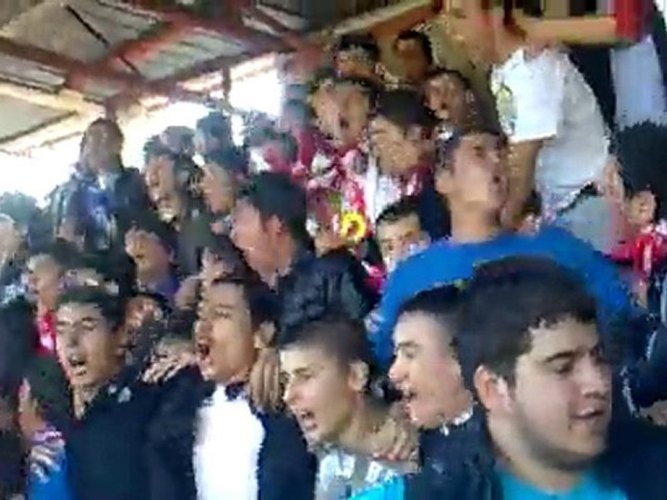 Tayfa 3'lü - GFK !