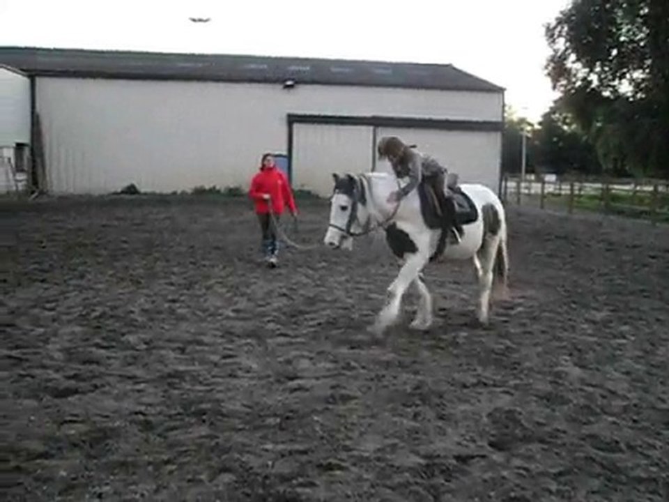 SAM_1008