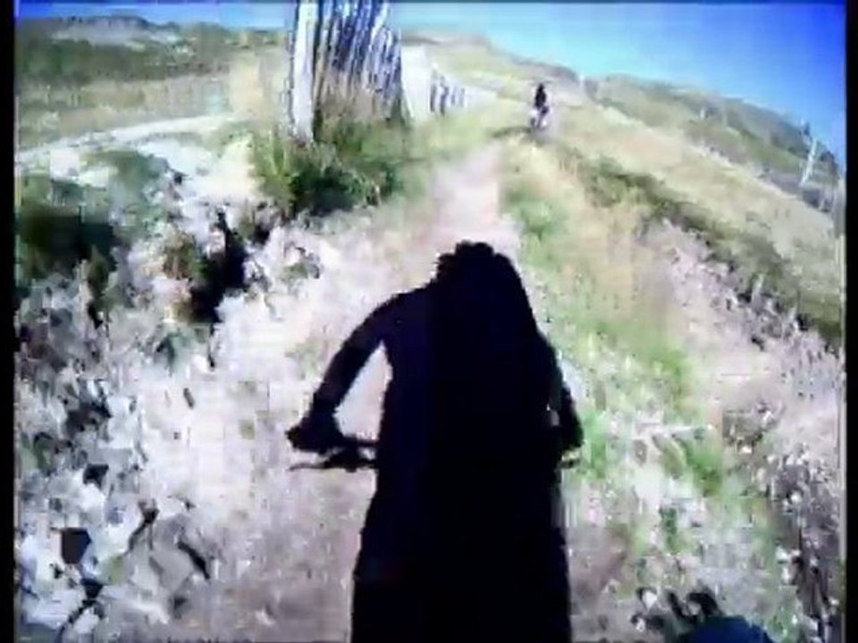Saison 2010 DH
