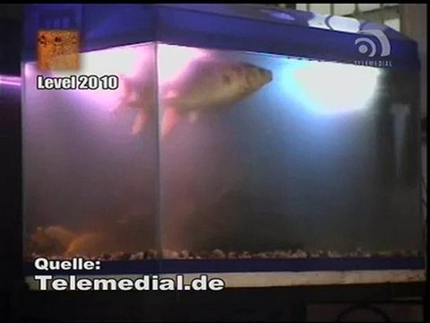 Kanal Telemedial - Big Fish 37 - April 22, 2010