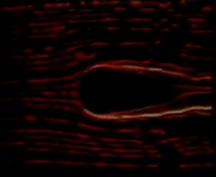 JEAN-PIERRE PETIT - LE MHD ET LES UNIVERS JUMEAUX