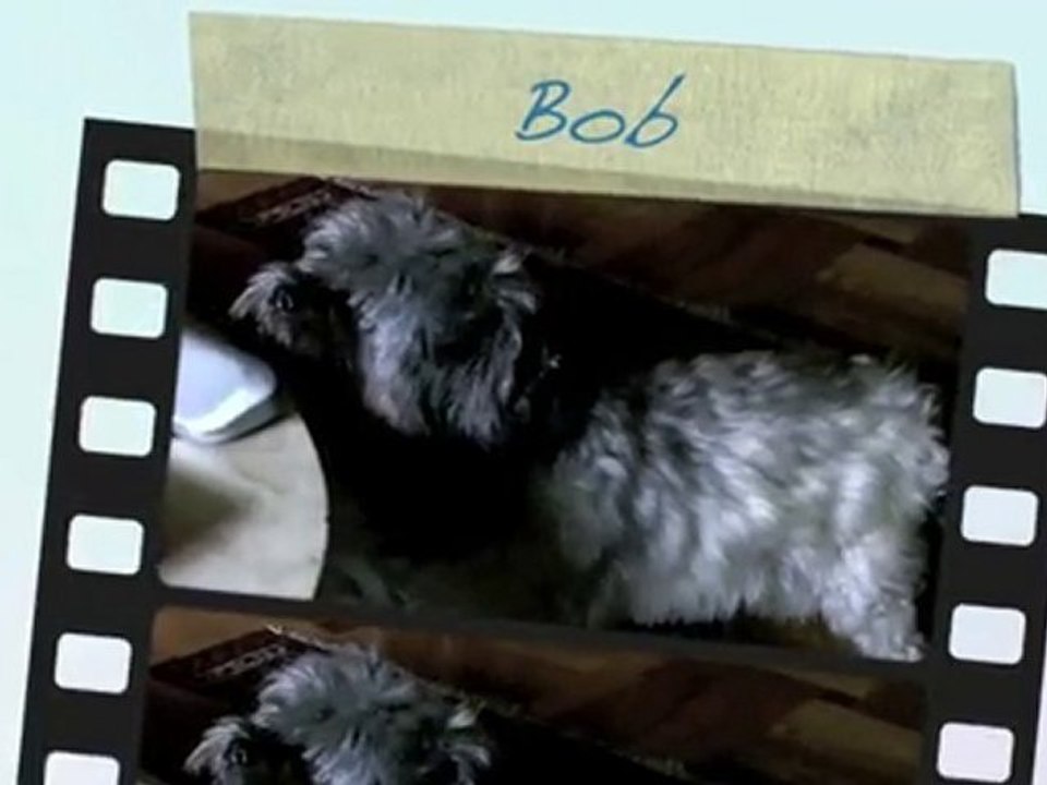 Bob