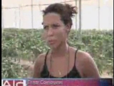 Reducción de precios en semillas e insumos que vende Agropat