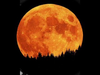 So Beats My Heart For You-Will Osborne Orchestra