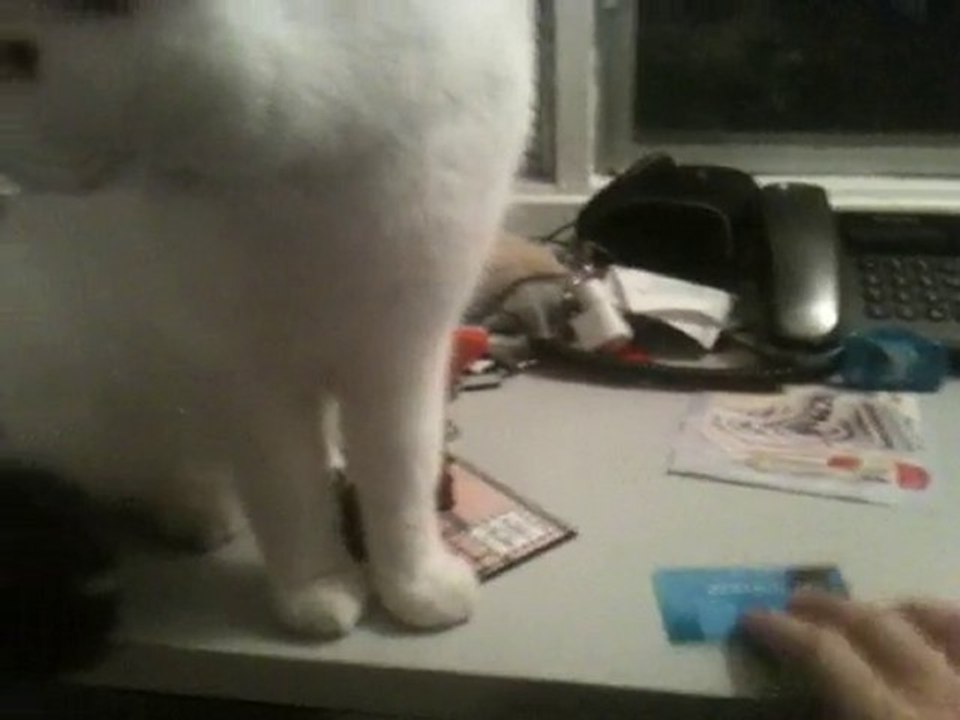 BUSTED