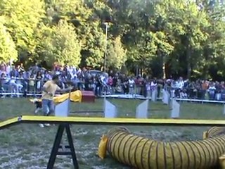 Dog Agility