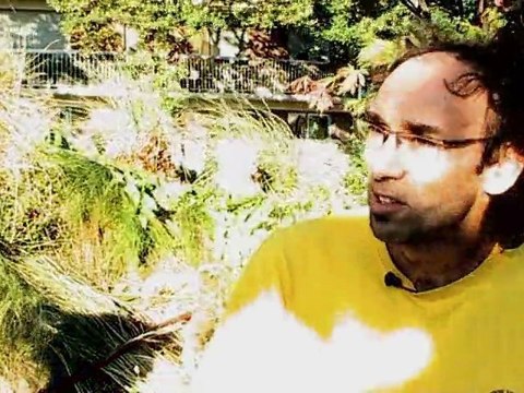 L' association d'escalade à Vincennes prête pour l'exploit !